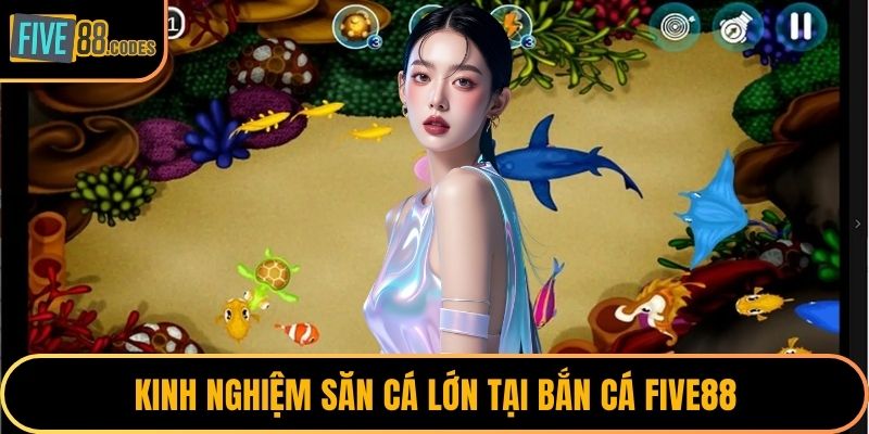 Kinh nghiệm săn cá lớn tại bắn cá FIVE88
