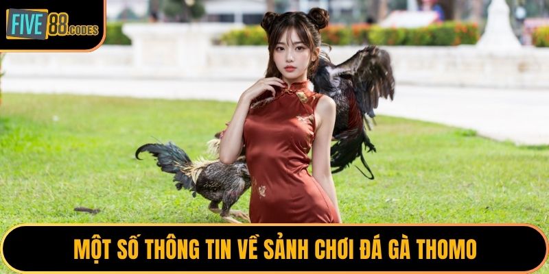 Một số thông tin về sảnh chơi đá gà Thomo
